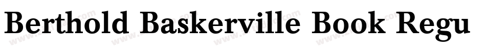 Berthold Baskerville Book Regular字体转换
